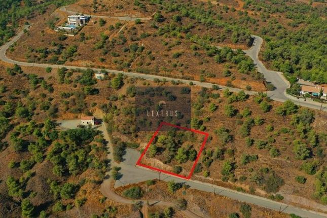 Land for sale in Kornos, Cyprus