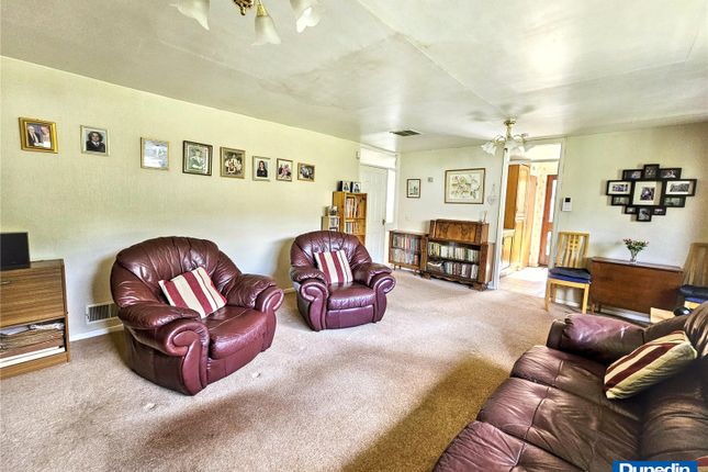 34, Pine Grove, Birmingham photo 3