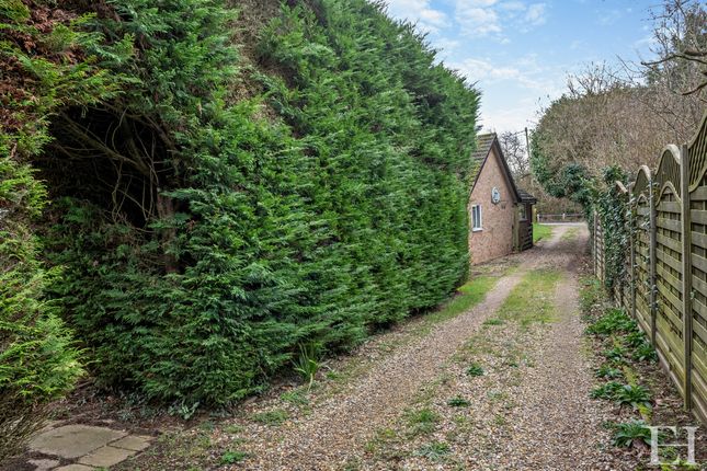 Detached bungalow for sale in Water Lane, Little Whelnetham, Bury St. Edmunds