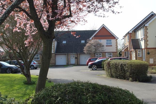 33, Bourlon Wood, Abingdon photo 2