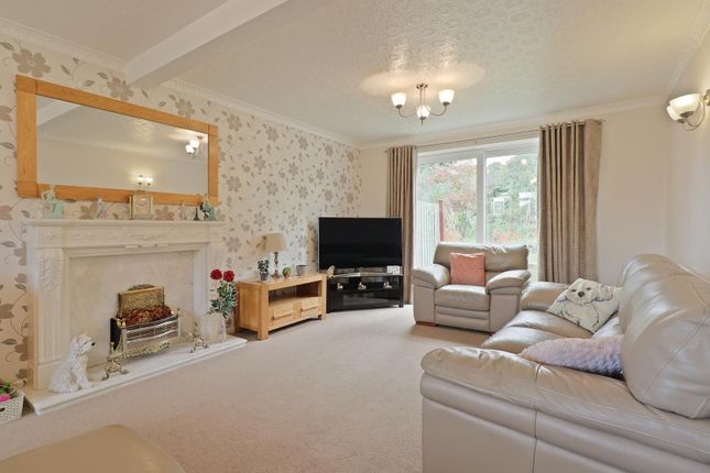 20, Meadow Grove Road, Sheffield photo 2