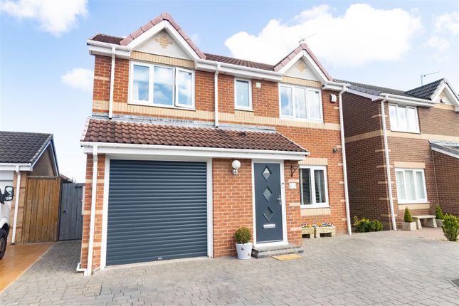 Thumbnail Detached house for sale in Abbots Way, North Shields