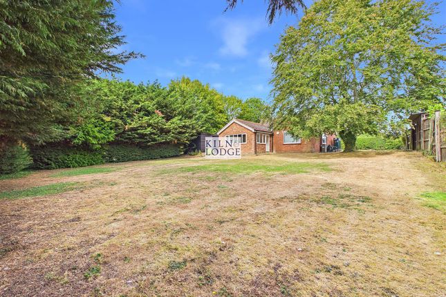 Isaraa, Cooksmill Green, Chelmsford photo 2