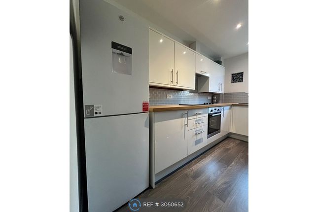 Millside Terrace, Peterculter photo 5
