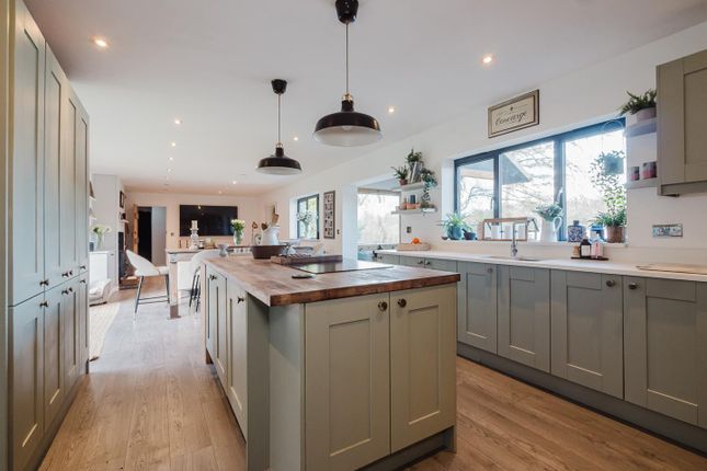 Livign Room And Dining Kitchen