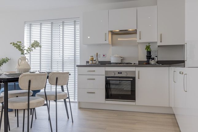 Room To Create, Space To Celebrate