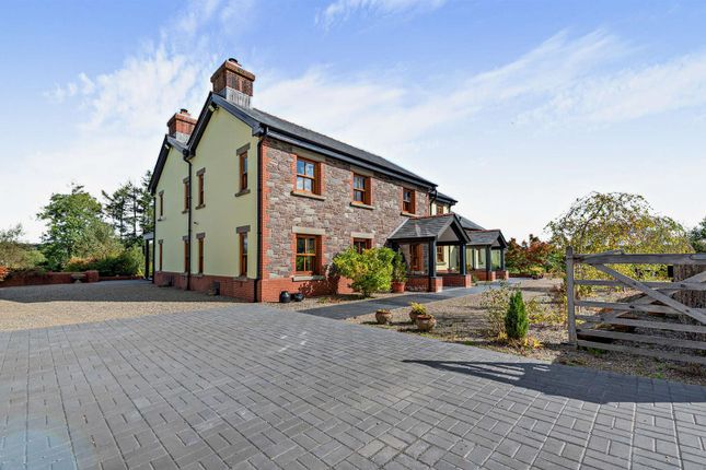 Glantwrch, Llanwrda photo 3