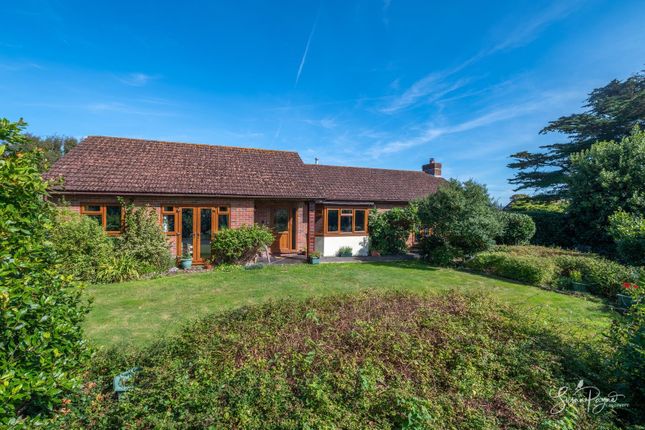 Welcome To Wightacre