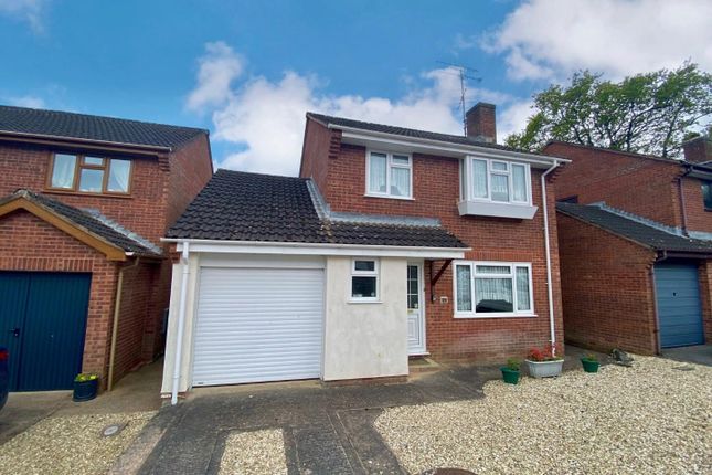 Thumbnail Detached house to rent in Bluebell Avenue, Tiverton