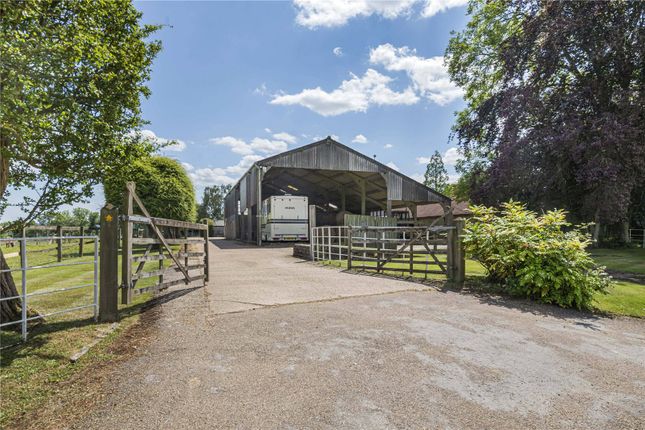 Barn