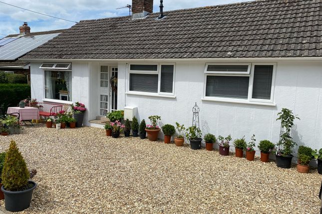 Detached bungalow for sale in Sector Lane, Axminster