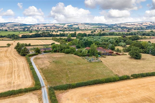 Great Sutton Farm,, Sutton, Ludlow photo 3