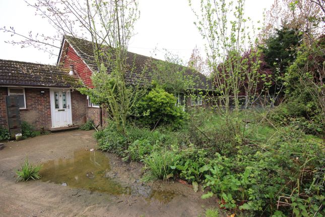 Detached bungalow for sale in Barnhorn Road, Bexhill-On-Sea
