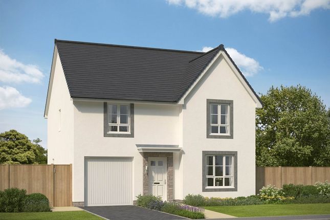Thumbnail Detached house for sale in "Rothes" at Park Place, Newtonhill, Stonehaven
