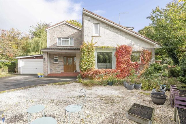 Thumbnail Detached house for sale in Wellgate Drive, Bridge Of Allan, Stirling