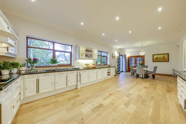 Kitchen / Dining