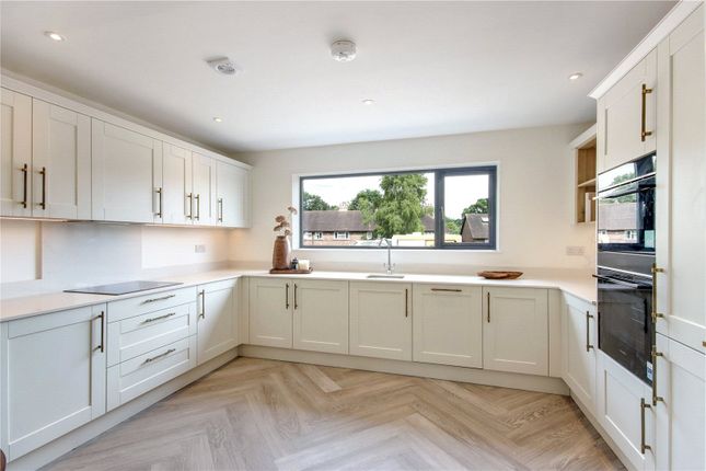 53 Bradbourne Vale Road (A), 53A, Bradbourne Vale Road, Kent photo 3