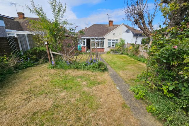 Thumbnail Semi-detached bungalow for sale in Broad Walk, Hockley, Essex