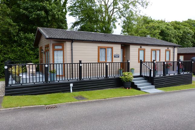 The Holiday Home