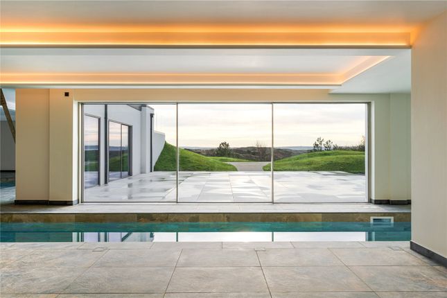 Lap Pool