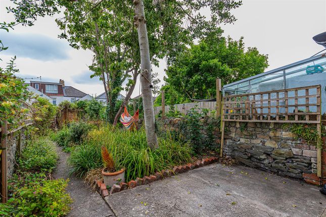 34, Glamorgan Street, Cardiff photo 3