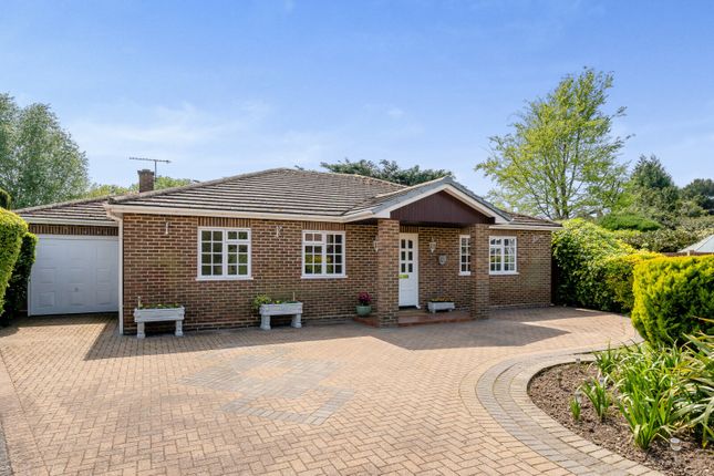 Thumbnail Bungalow for sale in Church Close, Laleham, Staines
