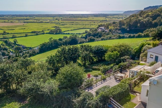 Dji_0426-Edit.Jpg