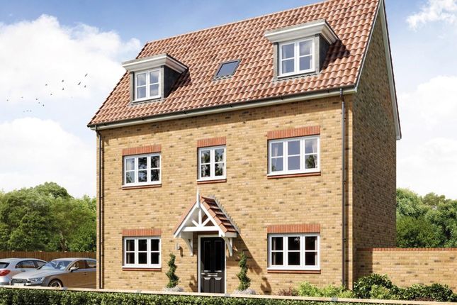 Thumbnail Detached house for sale in "Moulton" at Primrose Close, Cringleford, Norwich