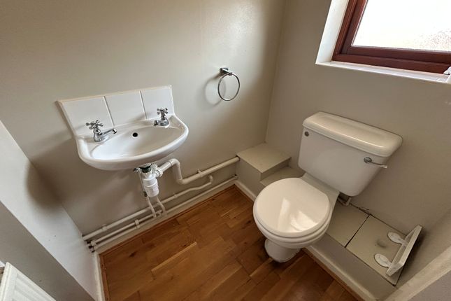 54, Liverpool photo 3