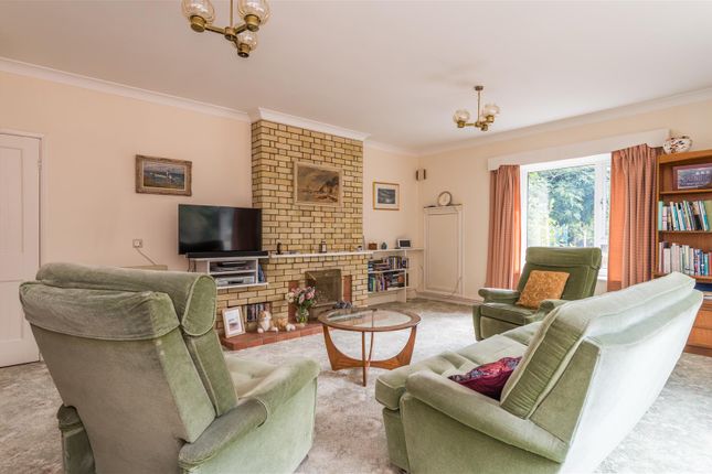 Holly Cottage, Ipswich photo 4