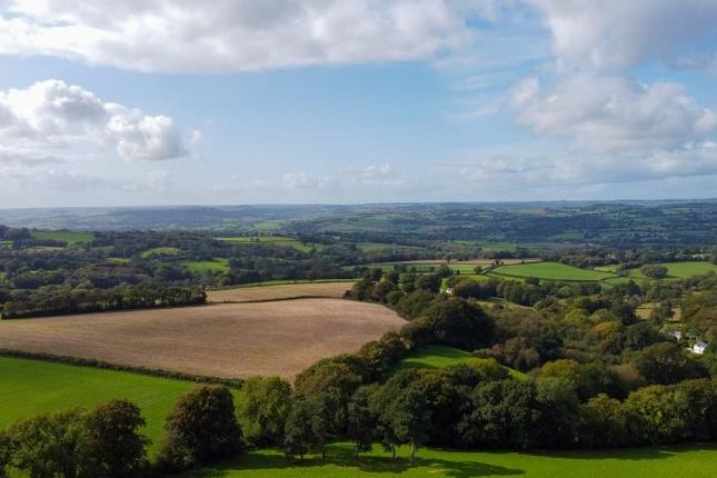 Fairwater Head, Axminster photo 4