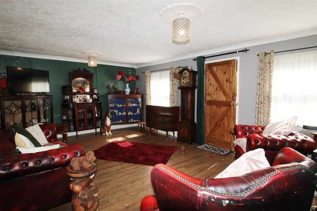 Cadermist, Blazegate, Gedney Spalding photo 2