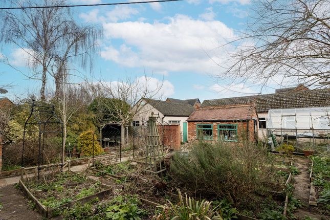 Veg Patch / Workshops