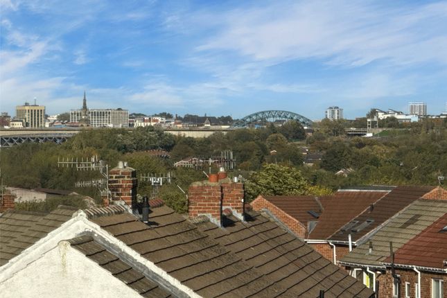 Views