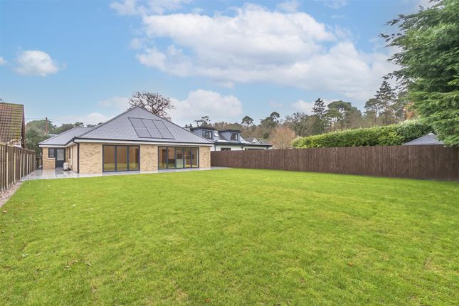 Detached bungalow for sale in Sandy Lane, St. Ives, Ringwood