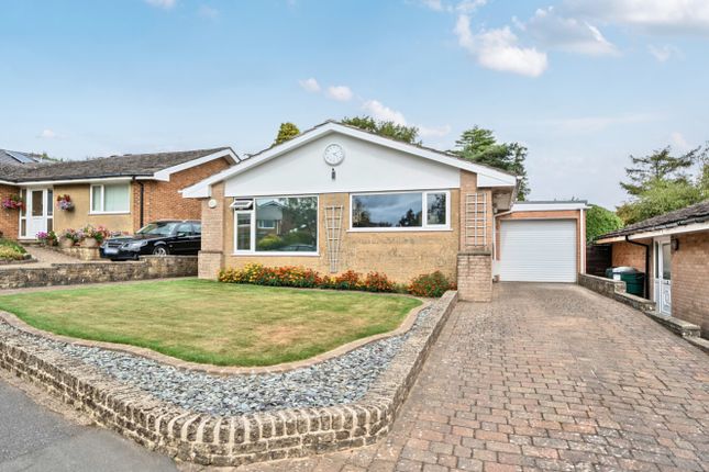 Best Sales And Letting Agent Sheffield