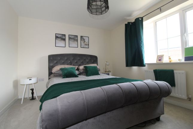 48, Harrier Drive, Ashford photo 4
