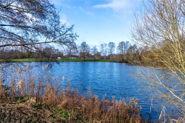 Property for sale in Eversley Cross, Hook, Hampshire