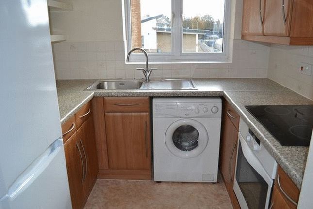 1B, Lloyd Close, Cheltenham photo 4