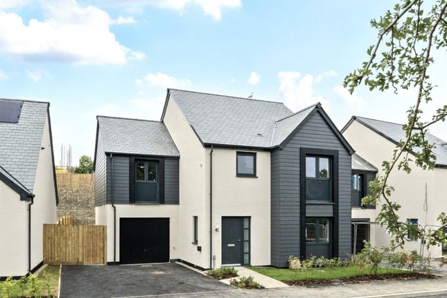 Photo Of Plot 9