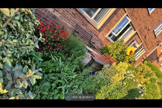 Front Of The House