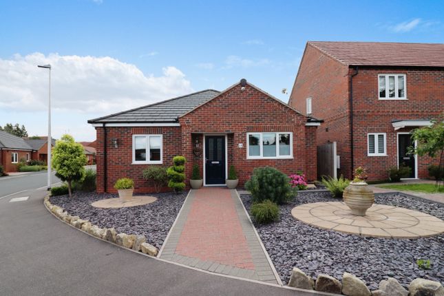 Thumbnail Detached bungalow for sale in Jasmine Way, Bilton, Rugby