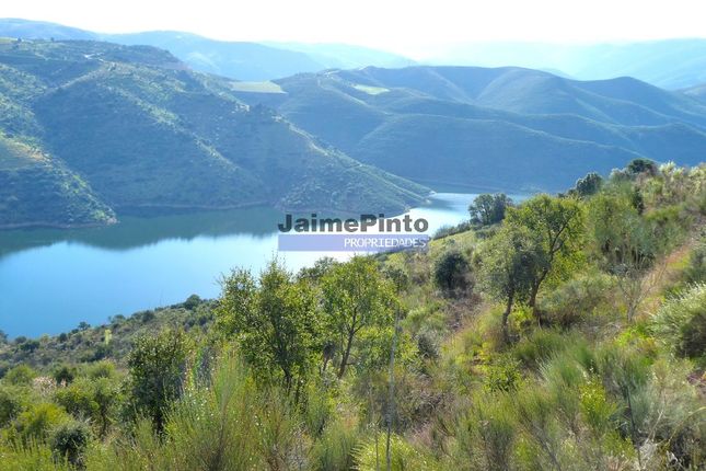 Land for sale in 190 000 m2 With Cork And Lake View, Portugal