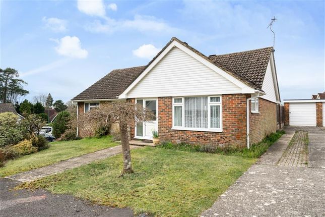 Thumbnail Detached bungalow for sale in Woodside Close, Storrington, West Sussex