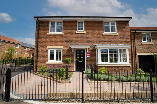 Detached house for sale in "The Pembroke" at Palmerston Avenue, St. Georges Wood, Morpeth