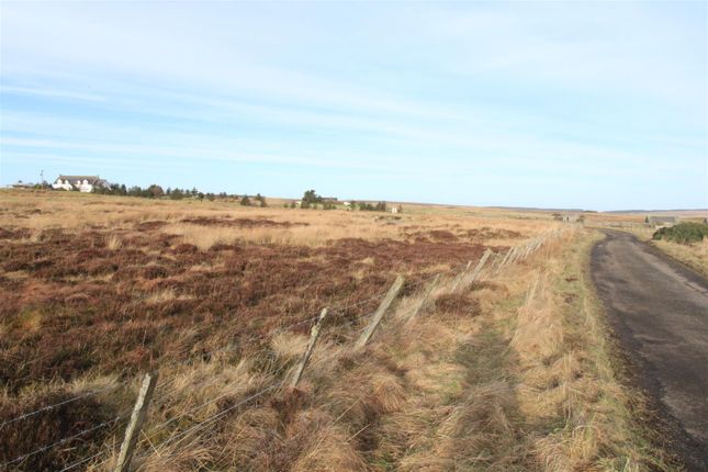 Land for sale in Land South Of Arriebeg, Upper Lybster, Lybster