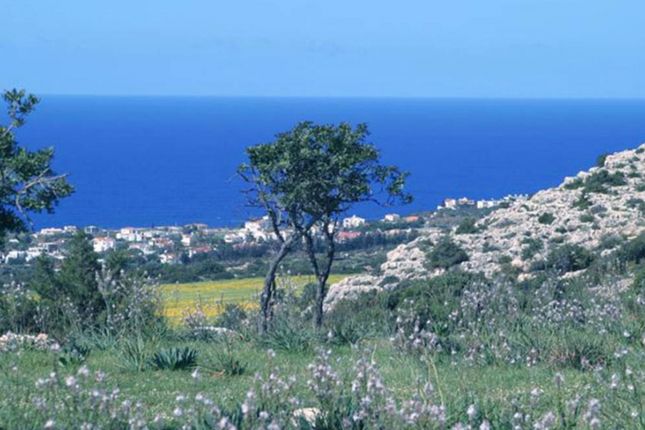 Thumbnail Property for sale in Coral Bay, Paphos, Cyprus