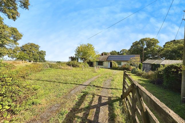 Front Elevation &amp; Driveway
