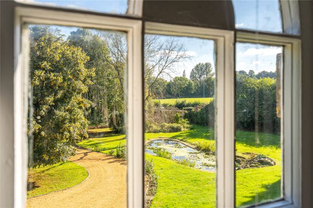 View Of Garden