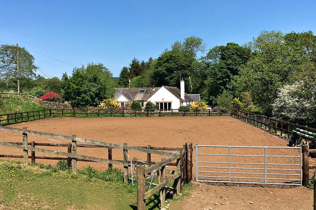 Thumbnail Equestrian property for sale in Irongray, Dumfries